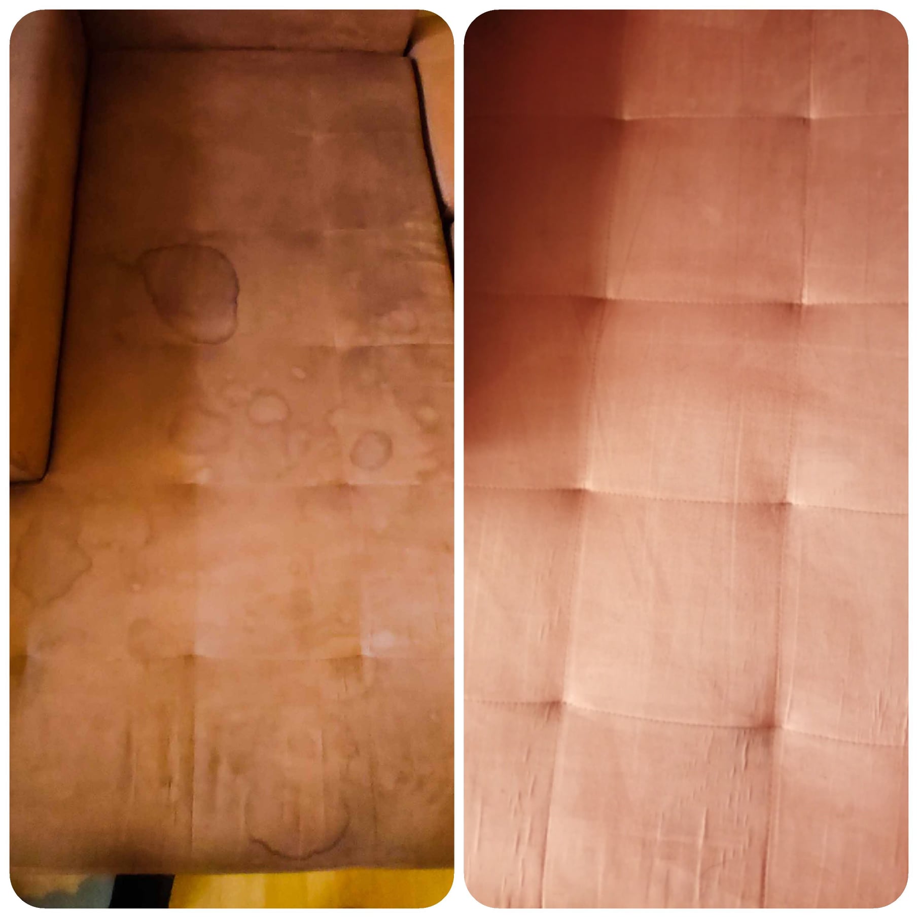 Realizacja Professional Cleaning — pranie i czyszczenie